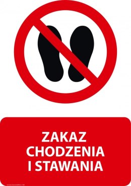 Tablica PVC 20x30 cm ZAKAZ CHODZENIA I STAWANIA