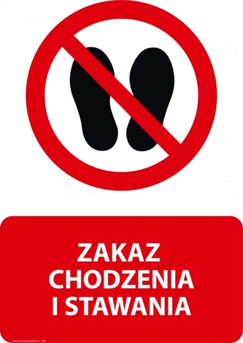 Tablica PVC 20x30 cm ZAKAZ CHODZENIA I STAWANIA Tablica PVC 20x30 cm ZAKAZ CHODZENIA I STAWANIA