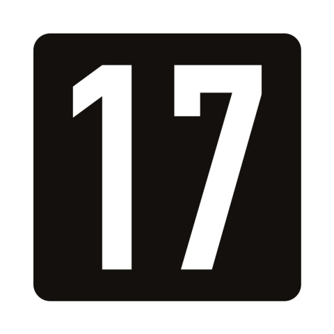 Tabliczka na drzwi 8x8 cm czarna numer 17