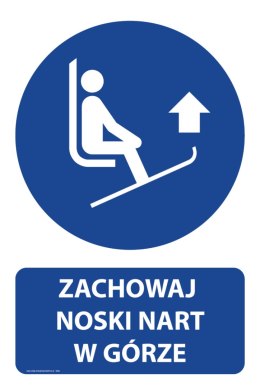 Naklejka 20x30 cm ZACHOWAJ NOSKI NART W GÓRZE