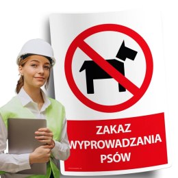 Naklejka 20x30cm ZAKAZ WYPROWADZANIA PSÓW