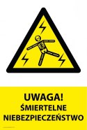 Tablica PVC 20x30cm UWAGA ŚMIERTELNE NIEBEZPIECZEŃSTWO