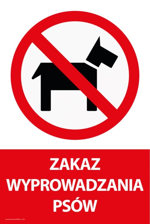 Tablica PVC 20x30cm ZAKAZ WYPROWADZANIA PSÓW Tablica PVC 20x30cm ZAKAZ WYPROWADZANIA PSÓW