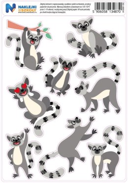 Naprasowanki z lemurami - zestaw 8 sztuk