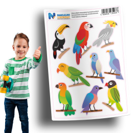 Naklejki kolorowe ptaki zestaw 9 sztuk