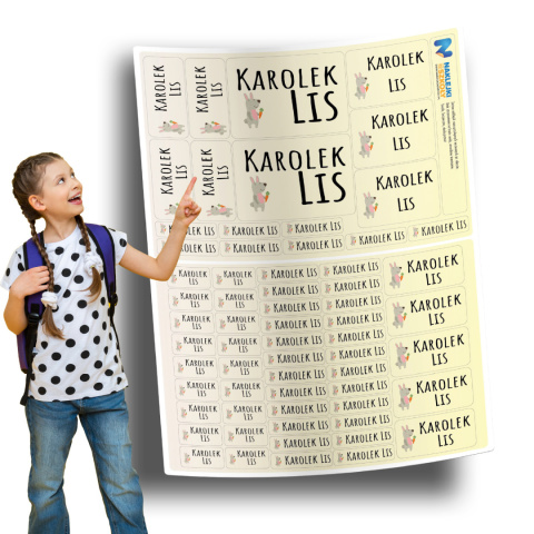 Naklejki imienne, imiennik - 64 sztuki Naklejki imienne, imiennik - 64 sztuki