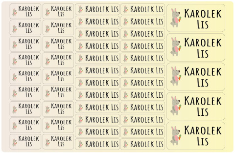 Naklejki imienne, imiennik - 64 sztuki Naklejki imienne, imiennik - 64 sztuki