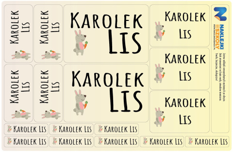 Naklejki imienne, imiennik - 64 sztuki Naklejki imienne, imiennik - 64 sztuki
