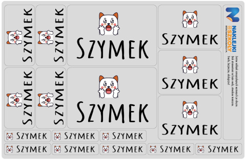 Naklejki imienne, imiennik - 64 sztuki Naklejki imienne, imiennik - 64 sztuki