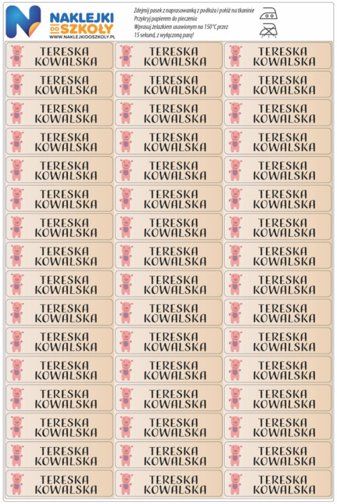 Naprasowanki imienne, imienniki - 48 sztuk Naprasowanki imienne, imienniki - 48 sztuk