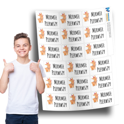 Naklejki imienne, imiennik na zeszyty i ksiązki - 18 sztuk Naklejki imienne, imiennik na zeszyty i ksiązki - 18 sztuk