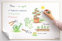 Samoprzylepna tablica suchościeralna 70x50 cm - linie